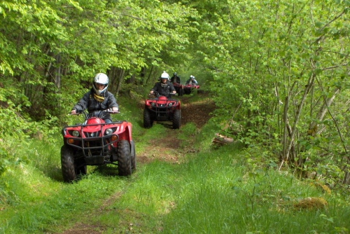 quad fôret nature